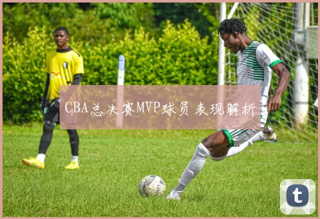 CBA总决赛MVP球员表现解析
