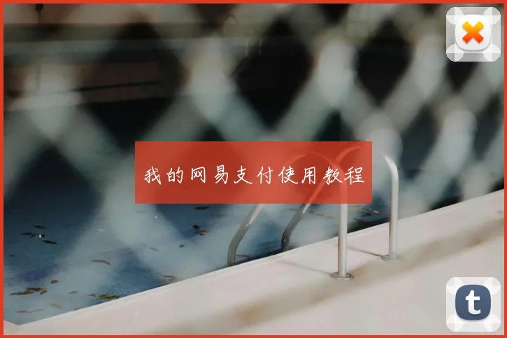 我的网易支付使用教程