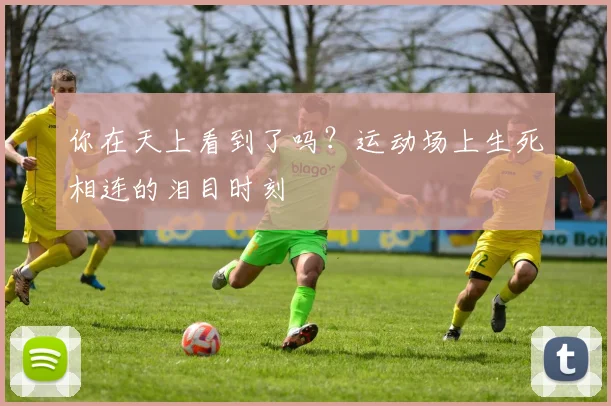 你在天上看到了吗？运动场上生死相连的泪目时刻