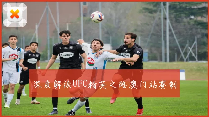深度解读UFC精英之路澳门站赛制