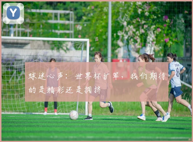 球迷心声:世界杯扩军,我们期待的是精彩还是拥挤