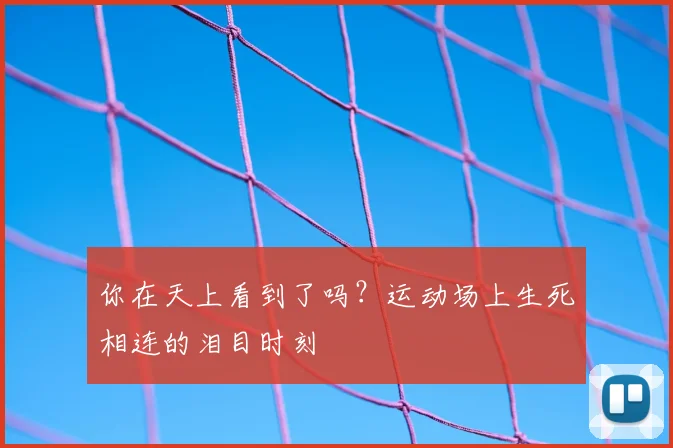 你在天上看到了吗？运动场上生死相连的泪目时刻